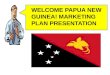 Aimglobal PNG Marketing Plan