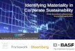 Identifying Materiality in Corporate Sustainability