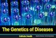 The genetics of diseases