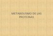 Diapositivas Bioquimica IV segmento, Metabolismo de las proteinas