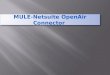 MULE-Netsuite open air connector