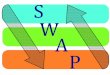 SWAP model short view