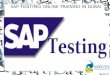 Sap testing online training in dubai
