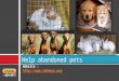 Help abandoned pets