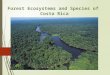 5b forest ecology of costa rica ecosystems power point