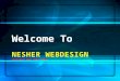 Nesher webdesign - overview