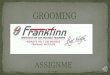 Frankfinn grooming project