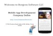 Mobile App Development Company - Mobile App Developers