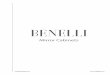 Benelli Mirror Brochure