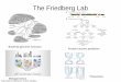 Friedberg lab-overview-grad-students