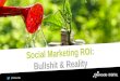 Social Marketing ROI - bullshit & reality