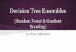 Decision Tree Ensembles