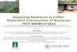 Assessing Resilience in Coffee-Dependent Communities of Honduras, Haiti and Nicaragua
