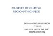 Muscles of gluteal region
