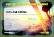 WU Internship Prgm Certificates-Hicham