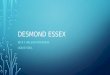 Desmond Essex Interview Assignment