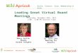 Wild Apricot Free Expert Webinar: Leading Great Virtual Meetings with Nancy Settle-Murphy and Dr. Rick Lent