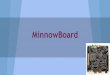 Minnow board final