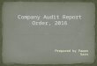 Company audit report order, 2016