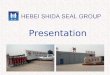 Hebei Shida Seal Group Presentation
