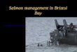 Bristol bay salmon overview