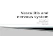 Vasculitis and nervous system
