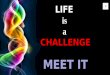 Life is a Challenge: Meet It