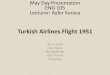 Turkish airlines flight 1951