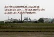 environmental impact created by nitta gelattin at kathikudam