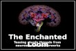 The Enchanted Loom reviews V. S. Ramachandran's book, Phantoms in the Brain