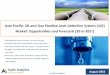 Asia Pacific Oil & Gas Pipeline Leak Detection System (LDS) Market: Opportunities and Forecasts (2016-2021)