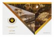 Guyana Goldfields February  2017 IR Presentation