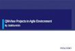 QlikView projects in Agile Environment