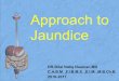 L2. approach to jaundice