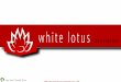 White Lotus Corp Presentation