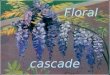 Floral cascade