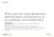 Dr. Brian Payne - PCV2 Vaccine Cross-Protection: Identification of Sequences in Successfully Vaccinated Field Cases