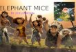 Elephants and Mice by Zoe