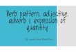 Verb pattern, adverb, adjective and expression of quantity