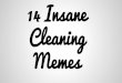 14 insane cleaning memes