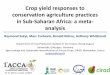 Crop yield responses to Conservation Agriculture practices in sub Saharan Africa a meta-analysis