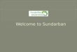 Sundarban National Park - An Adventure Tour