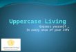 Uppercase Living 2009 Presentation