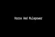 J13 horse and mulepower