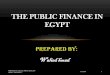 Public finance-in-egypt-by-walied-hmad