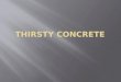 Thirsty concrete (2)