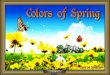 Colors of Spring - animated widescreen