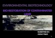 Biorestoration of contaminated land