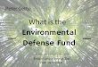 What is the Environmental Defense Fund