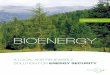 BIOMASS - A local ad renewable solution for energy security